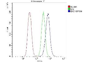 Flow Cytometry analysis of U20S cells using anti-EHD1 antibody (ABIN6719599).