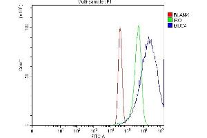 Flow Cytometry analysis of MCF-7 cells using anti-MUC4 antibody (ABIN7599886). (MUC4 Antikörper  (AA 1250-1444))