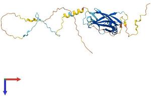 PPP1R3B Protein (AA 1-285) (His tag)