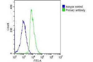 Overlay histogram showing SH-SY5Y cells stained with Antibody (green line). (LGR5 Antikörper  (AA 689-719))