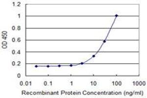 Detection limit for recombinant GST tagged PMS2 is 1 ng/ml as a capture antibody. (PMS2 Antikörper  (AA 763-862))