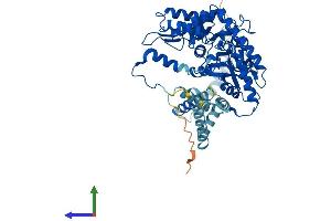 AlphaFold protein structure predicition of Mouse Recombinant Sgpl1 Protein, UniprotID Q8R0X7