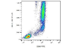 Surface staining of CD89 in human peripheral blood with anti-CD89 (A59) FITC. (FCAR Antikörper  (FITC))