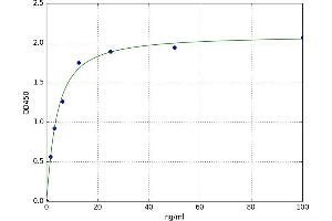 A typical standard curve