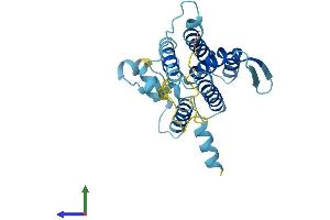 Protein Structure (PS) image for Der1-Like Domain Family, Member 2 (DERL2) (AA 1-239) protein (His tag) (ABIN7547070)