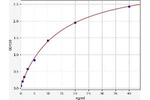 Coagulation Factor XII (F12) ELISA Kit