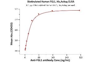 ELISA image for Fibrinogen-Like 1 (FGL1) (AA 23-312) (Active) protein (His tag,AVI tag,Biotin) (ABIN6951039)