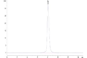 Size-exclusion chromatography-High Pressure Liquid Chromatography (SEC-HPLC) image for CD46 (CD46) (AA 35-329) protein (His tag) (ABIN7274175)