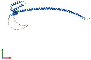 Protein Structure (PS) image for Dynein, Axonemal, Light Intermediate Chain 1 (DNALI1) (AA 1-258) protein (His tag) (ABIN7558938)