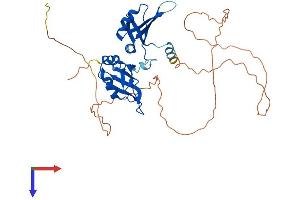 HNRNPA1 Protein (AA 1-372) (His tag)