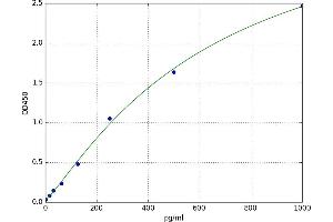 Protein Kinase C (PKC) ELISA Kit