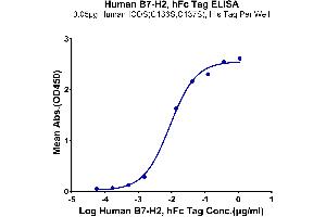 Immobilized Human ICOS (C136S,C137S), His Tag at 0. (ICOSLG Protein (AA 19-258) (Fc Tag))