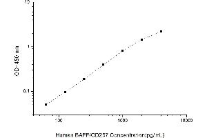 Typical standard curve