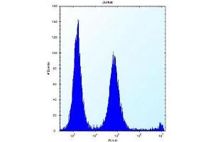 Flow cytometric analysis of Jurkat cells using POLR2G Antibody (C-term) Cat. (POLR2G Antikörper  (C-Term))