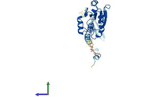 Protein Structure (PS) image for Dual Specificity Phosphatase 19 (DUSP19) (AA 1-220) protein (His tag) (ABIN7559585)