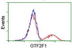 HEK293T cells transfected with either RC201294 overexpress plasmid (Red) or empty vector control plasmid (Blue) were immunostained by anti-GTF2F1 antibody (ABIN2454913), and then analyzed by flow cytometry. (GTF2F1 Antikörper)