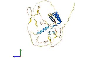 Protein Structure (PS) image for Retina and Anterior Neural Fold Homeobox (RAX) (AA 1-342) protein (His tag) (ABIN7562339)