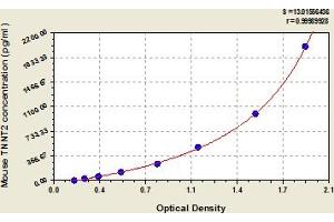 Typical Standard Curve