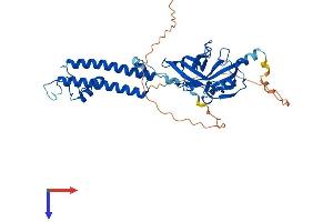 KCNJ5 Protein (AA 1-419) (His tag)