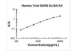 Typical Standard Curve