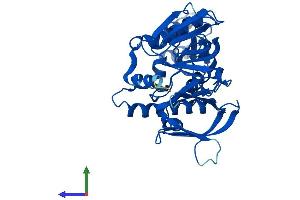 AlphaFold protein structure predicition of Human Recombinant ADAP1 Protein, UniprotID O75689