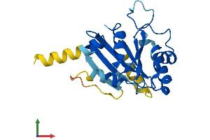 Protein Structure (PS) image for SAR1 Homolog A (SAR1A) (AA 1-198) protein (His tag) (ABIN7551691)