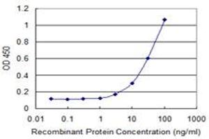 Detection limit for recombinant GST tagged LEPR is 1 ng/ml as a capture antibody. (Leptin Receptor Antikörper  (AA 31-130))