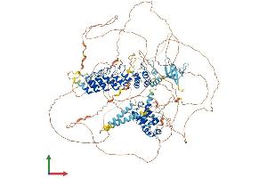 AlphaFold protein structure predicition of Mouse Recombinant Caskin2 Protein, UniprotID Q8VHK1