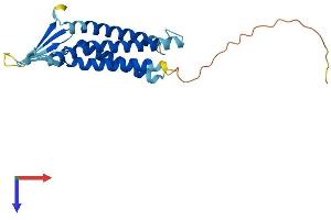 Protein Structure (PS) image for Claudin 6 (CLDN6) (AA 1-219) protein (His tag) (ABIN7556410)
