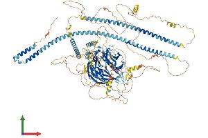 AlphaFold protein structure predicition of Mouse Recombinant Spag9 Protein, UniprotID Q58A65