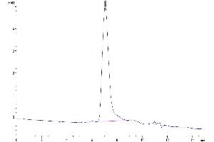 Size-exclusion chromatography-High Pressure Liquid Chromatography (SEC-HPLC) image for CD34 (CD34) (AA 32-290) protein (His tag) (ABIN7274141)