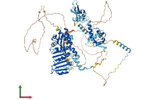 Protein Structure (PS) image for PMS2 Postmeiotic Segregation Increased 2 (S. Cerevisiae) (PMS2) (AA 1-862) protein (His tag) (ABIN7555031)