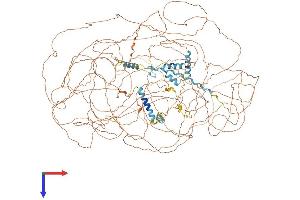 SETBP1 Protein (AA 1-1582) (His tag)