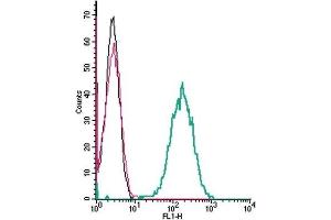 Cell surface detection of C5aR2 by indirect flow cytometry in live intact mouse J774 macrophage cell line: (black line) Cells. (GPR77 Antikörper  (Extracellular))