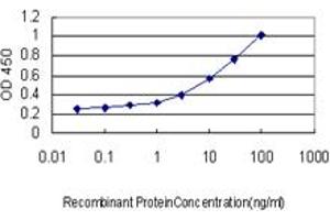 Detection limit for recombinant GST tagged RFC4 is approximately 0. (RFC4 Antikörper  (AA 254-363))