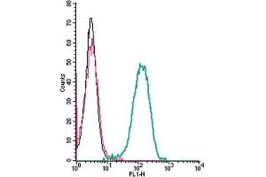 Cell surface detection of C5aR2 by indirect flow cytometry in live intact human THP-1 monocytic leukemia cells: (black line) Cells. (GPR77 Antikörper  (Extracellular))