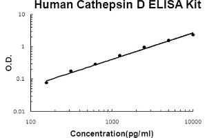 Human Cathepsin D Accusignal ELISA Kit Human Cathepsin D AccuSignal ELISA Kit standard curve. (Cathepsin D ELISA Kit)
