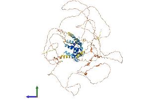 Protein Structure (PS) image for E2F Transcription Factor 7 (E2F7) (AA 1-911) protein (His tag) (ABIN7553736)