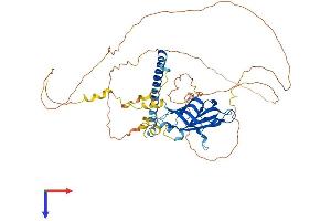 RAB11FIP2 Protein (AA 1-512) (His tag)