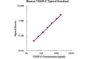 ELISA image for Vascular Endothelial Growth Factor (VEGF) ELISA Kit (ABIN4993795)