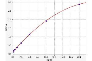 Laminin, alpha 5 (LAMA5) ELISA Kit