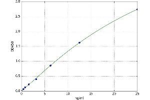 A typical standard curve