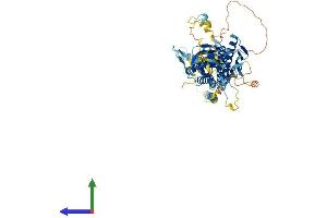 AlphaFold protein structure predicition of Human Recombinant MED17 Protein, UniprotID Q9NVC6
