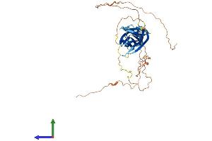 Protein Structure (PS) image for Immunoglobulin Superfamily Member 5 (IGSF5) (AA 1-407) protein (His tag) (ABIN7548495)