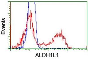 HEK293T cells transfected with either RC213720 overexpress plasmid (Red) or empty vector control plasmid (Blue) were immunostained by anti-ALDH1L1 antibody (ABIN2452749), and then analyzed by flow cytometry. (ALDH1L1 Antikörper)