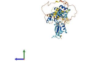 AlphaFold protein structure predicition of Human Recombinant NOVA2 Protein, UniprotID Q9UNW9