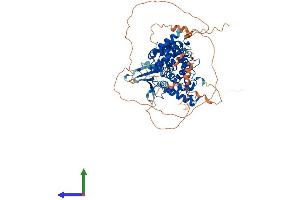 Protein Structure (PS) image for TBC1 Domain Family, Member 25 (TBC1D25) (AA 1-688) protein (His tag) (ABIN7544192)