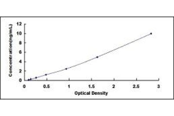 JTB ELISA Kit