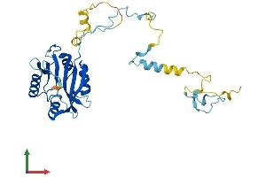 Protein Structure (PS) image for Cytokine Induced Apoptosis Inhibitor 1 (CIAPIN1) (AA 1-312) protein (His tag) (ABIN7546794)