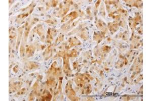 Image no. 1 for anti-Family with Sequence Similarity 84, Member A (FAM84A) (AA 1-293) antibody (ABIN466272) (FAM84A Antikörper  (AA 1-293))